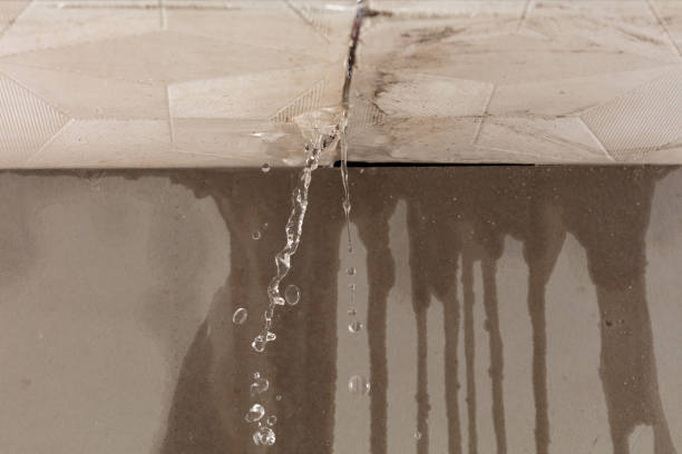 Professional Structural Drying technician working in Freeport, TX